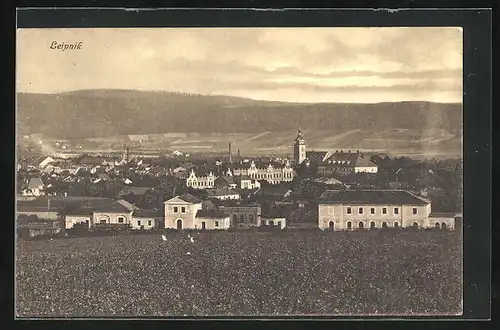 AK Leipnik, Totalansicht