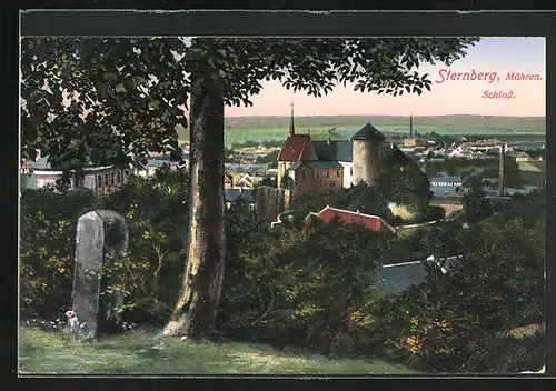 AK Sternberg, Blick zum Schloss