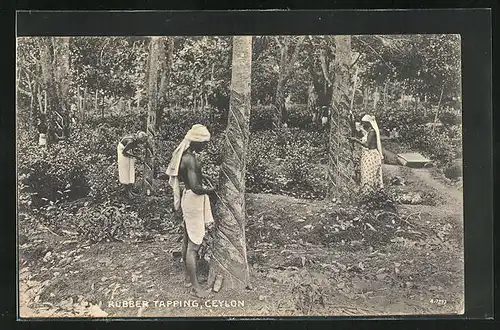 AK Ceylon, Rubber Tapping