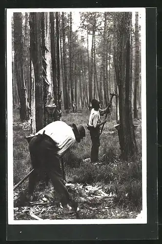 AK Gemmeurs faisant l'entaille, Holzfäller im Wald