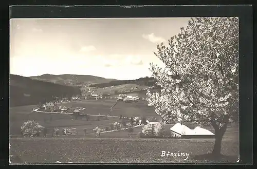 AK Breziny, Celkový pohled