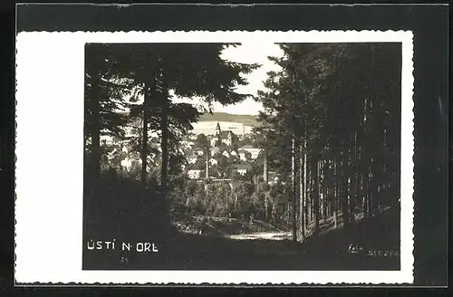 AK Ústi n. Orl., Blick vom Waldweg auf die Stadt
