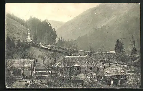 AK Peklo, das Anwesen im Tal, Blick auf den Wald