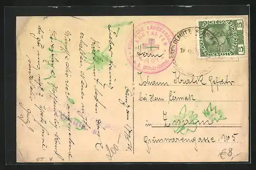 AK Olmütz, Villen in der Parkstrasse