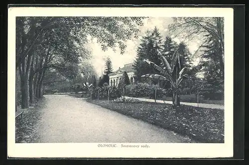 AK Olomouc, Smetanovy sady