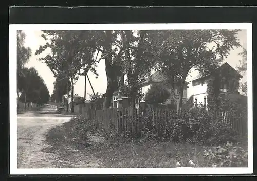 AK Albrechtice, Strassenblick mit Wohnhäusern