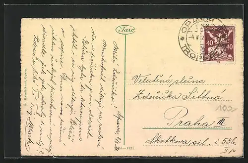 AK Opava, Mestske divadlo