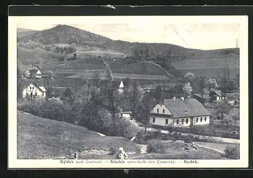 AK Niedek /Czantory, Teilansicht vom Dorf