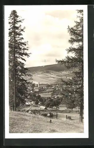 AK Vrbno ve Slezsku, Ortsansicht mit Kirche