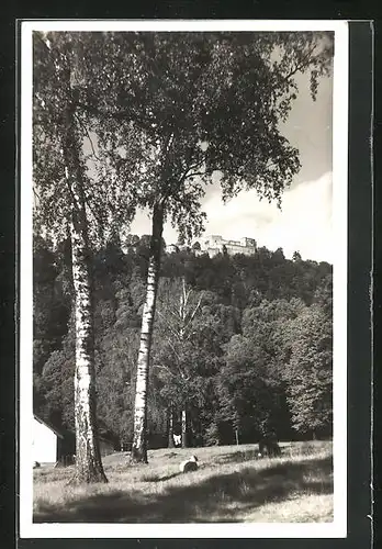 AK Hrad Hukvaldy, Schloss in der Ferne