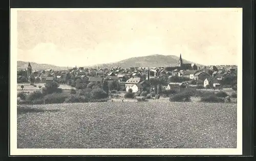 AK Miesenheim, Blick über Felder auf den Ort