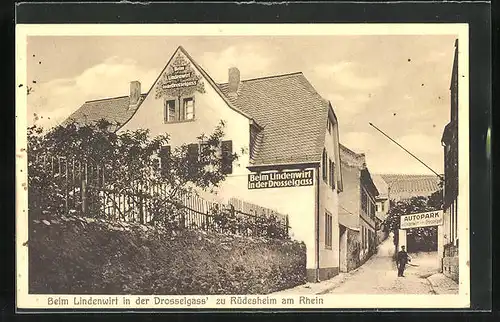AK Rüdesheim am Rhein, Gasthaus Lindenwirt in der Drosselgass