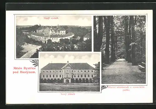 AK Mesto Bystrice pod Hostynem, Stary zamek, Novy zamek, Hlavni stromoradi v zameckem parku