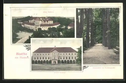 AK Bistritz am Hostein, Altes Schloss, Neuses Schloss, Hauptallee im Schlossparke