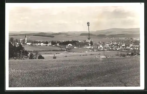 AK Slavicín-Mladotice, Blick von Anhöhe auf die Stadt