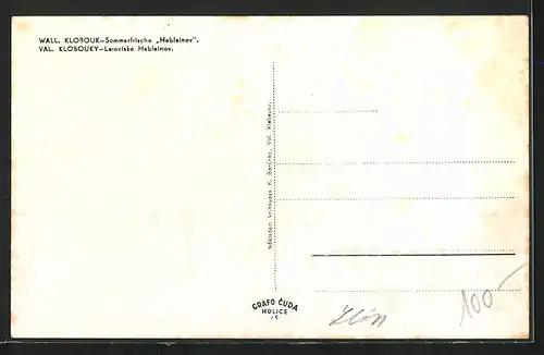 AK Valasské Klobouky, Sommerfrische Hebleinov