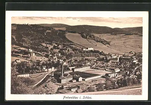 AK Freiwaldau i. Schles., Fabrik aus der Vogelschau
