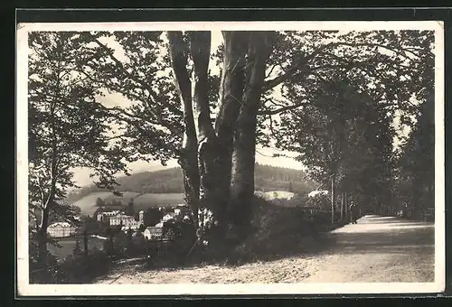 AK Gräfenberg, Alter Baum am Koppenweg
