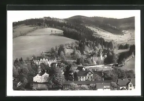 AK Nieder-Lindewiese, Grosse Gebäude am Ortsrand