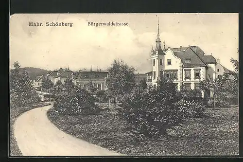 AK Mähr. Schönberg, Partie an der Bürgerwaldstrasse