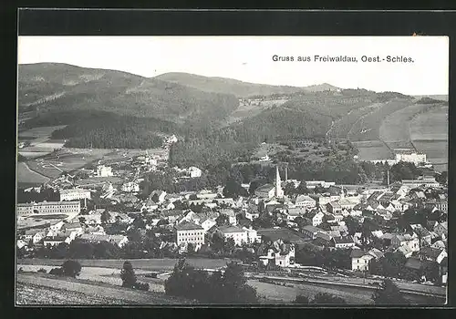 AK Freiwaldau, Gesamtansicht der Stadt