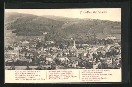 AK Freiwaldau, Gesamtansicht der Stadt, Gedicht