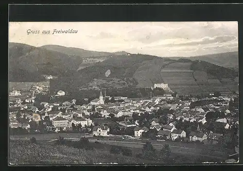 AK Freiwaldau, Panorama der Stadt