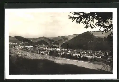 AK Hanusovice, Panorama vom Hügel aus