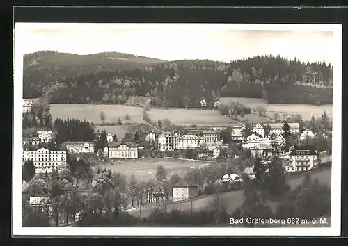 AK Bad Gräfenberg, Panorama mit Villen