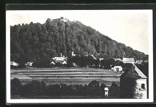 AK Hochwald /Hukvaldy, Teilansicht mit Schlossruine