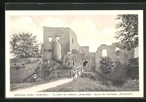 AK Hochwald /Hukvaldy, Ruine des Schlosses Hochwald