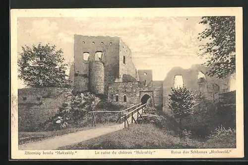AK Hochwald /Hukvaldy, Ruine des Schlosses Hochwald
