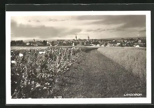 AK Landskron, Feldweg vor der Stadt