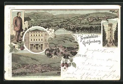 Lithographie Freiwaödau-Gräfenberg, Aussichtswarte Goldkoppe, Stadtparkt des Ortes, Totalansicht