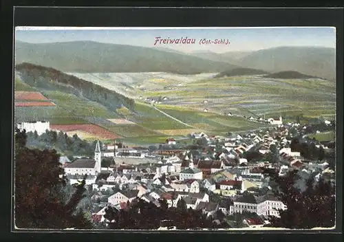 AK Feiwaldau /Öst.-Schl., Panorama