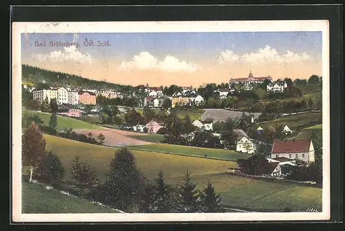 AK Bad Gräfenberg /Öst. Schl., Panorama