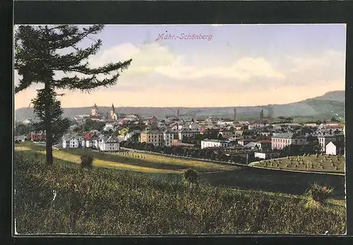 AK Mähr.-Schönberg, Panorama