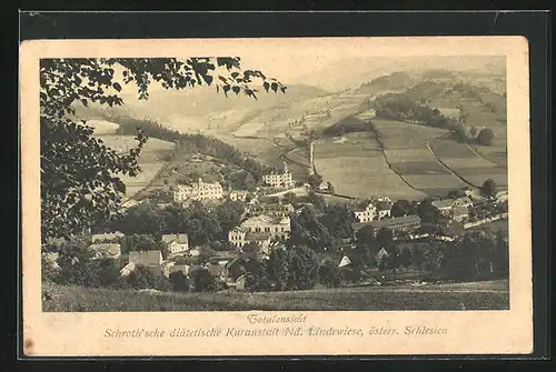 AK Nd.-Lindewiese /Österr. Schlesien, Schroth`sche diätetische Kuranstalt, Totalansicht