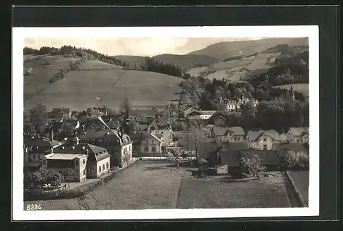 AK Nieder-Lindewiese, Panorama