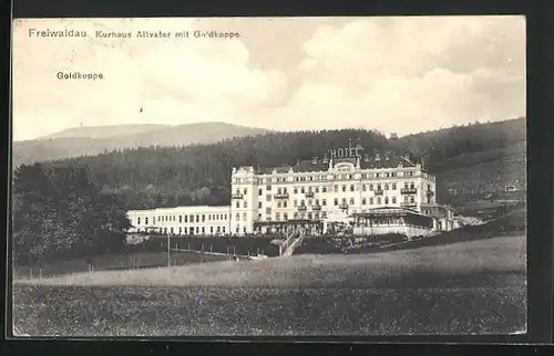 AK Freiwaldau, Hotel Kurhaus Altvater mit Goldkoppe