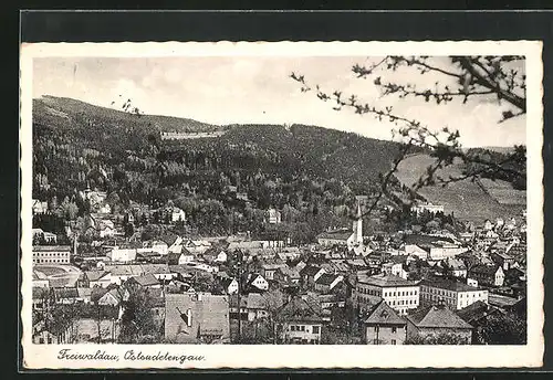 AK Freiwaldau, Blick über Dächer der Stadt