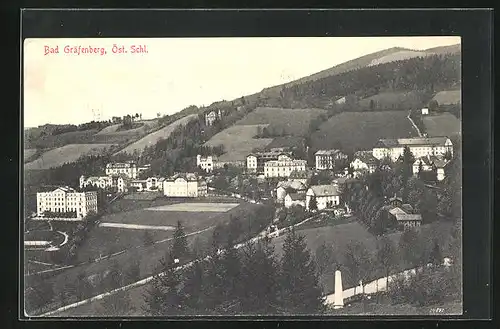 AK Bad Gräfenberg, Strasse zum Wohnviertel