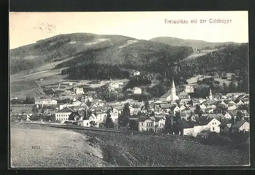 AK Freiwaldau, Stadt mit Goldkoppe