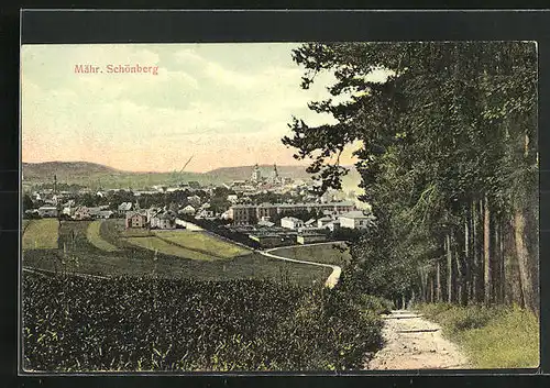 AK Mähr. Schönberg, Feldweg mit Blick in Richtung Ort