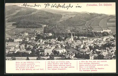 AK Freiwaldau, Bergwald und Ort