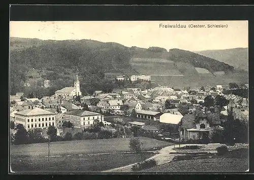 AK Freiwaldau, Teilansicht des Ortes