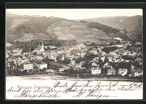 AK Freiwaldau, Blick auf grossen Teil des Ortes