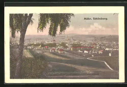 AK Mähr. Schönberg, Blick von Anhöhe über Stadt