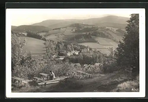 AK Nieder-Lindewiese, Rastplatz mit Blick über Ort