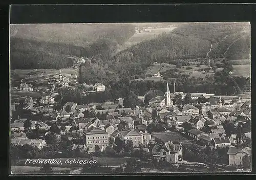 AK Freiwaldau, Blick über die Stadt